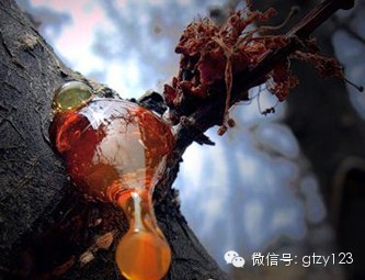 中润光学：致瑞科技首要从事树脂光波导晶圆的研制和出产公司参加的润扬光电基金对其进行了出资